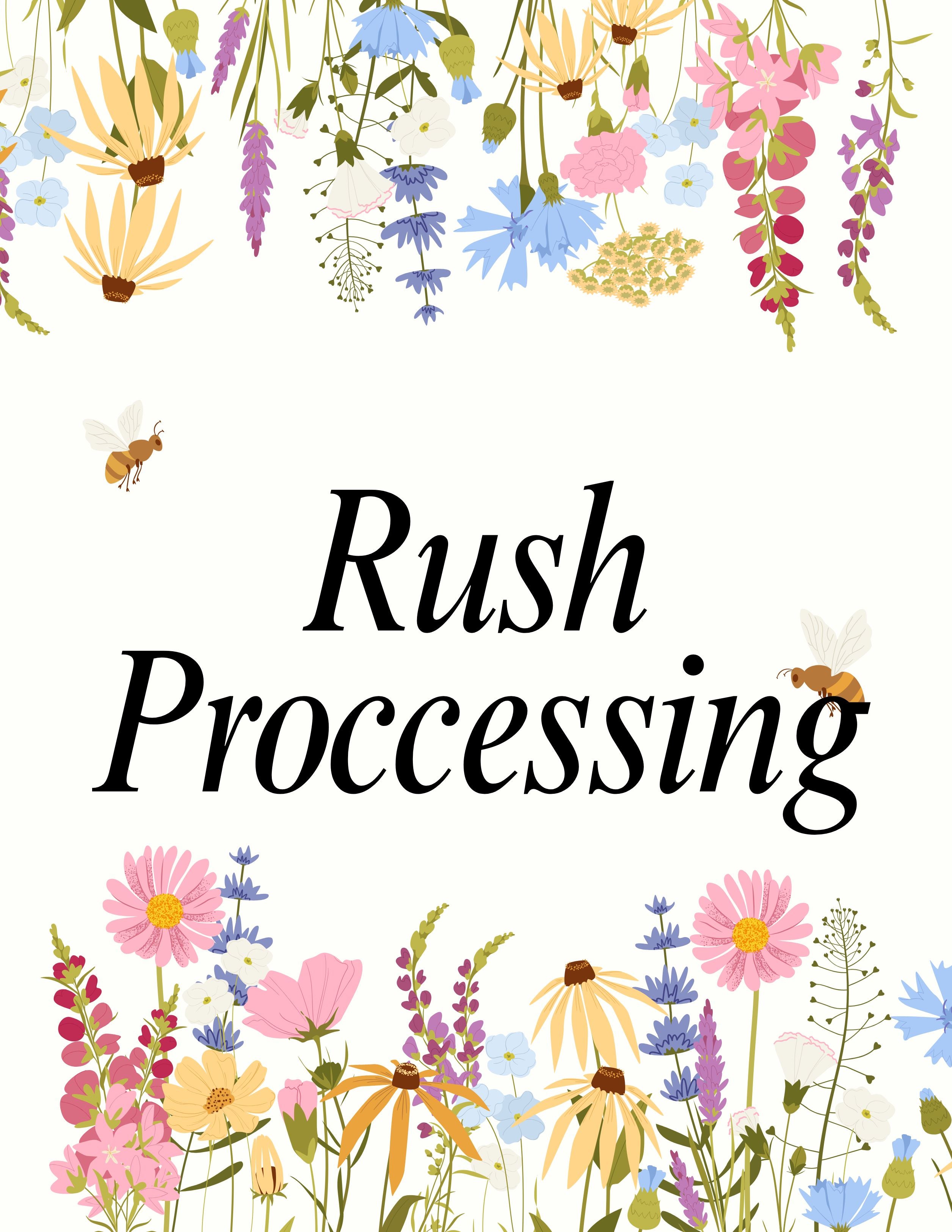 RUSH FEE - Rush PROCESSING Time 6 - 12 Hours